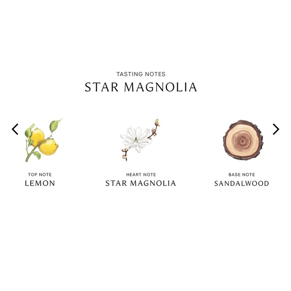 NWT New Fresh & Authentic Beautiful Jo Malone London Star Magnolia 1.7 - Picture 4 of 11